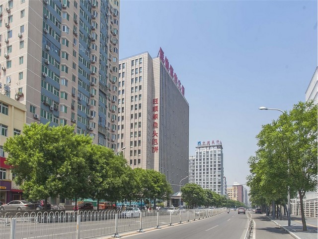 河北好质量瓦斯钉定做